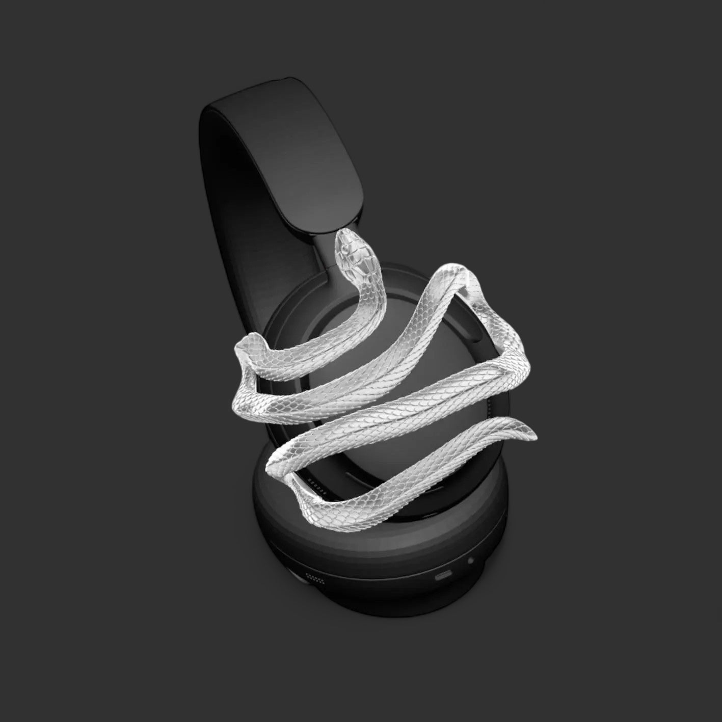 Snake for Bose quietcomfort, Bose quietcomfort ultra